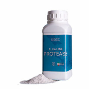 آنزیم پروتئاز